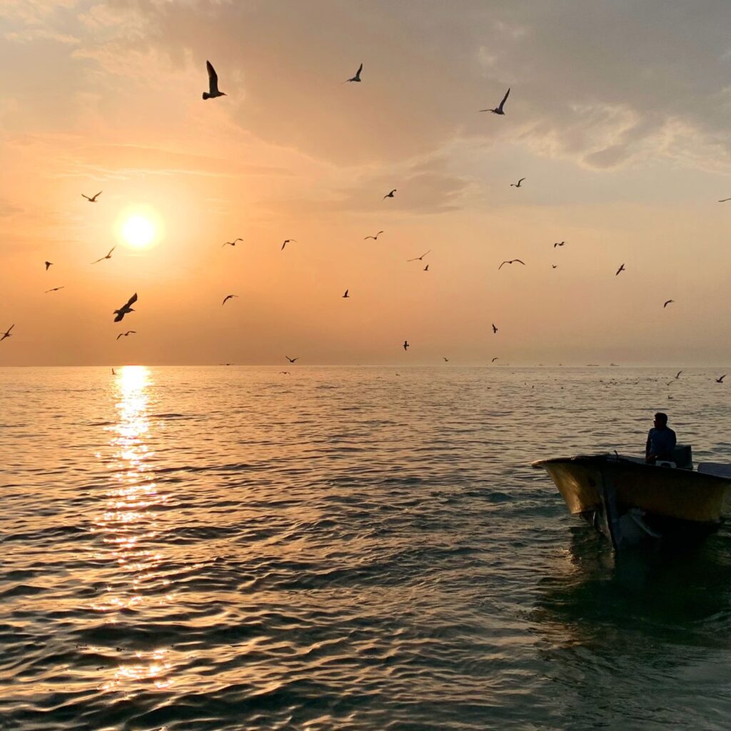 prayagraj varanasi ayodhya