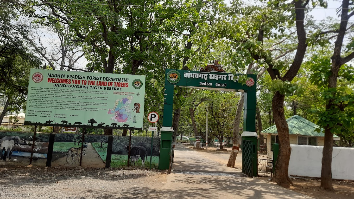 Bandhavgarh National Park Trip Plan by Panda Travels